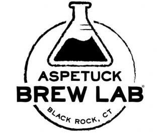 Aspetuck Brew Lab - Gray Matter Grisette (4 pack 16oz cans) (4 pack 16oz cans)
