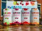 Two Roads Brewing - H2Roads Seltzer Variety Pack (221)